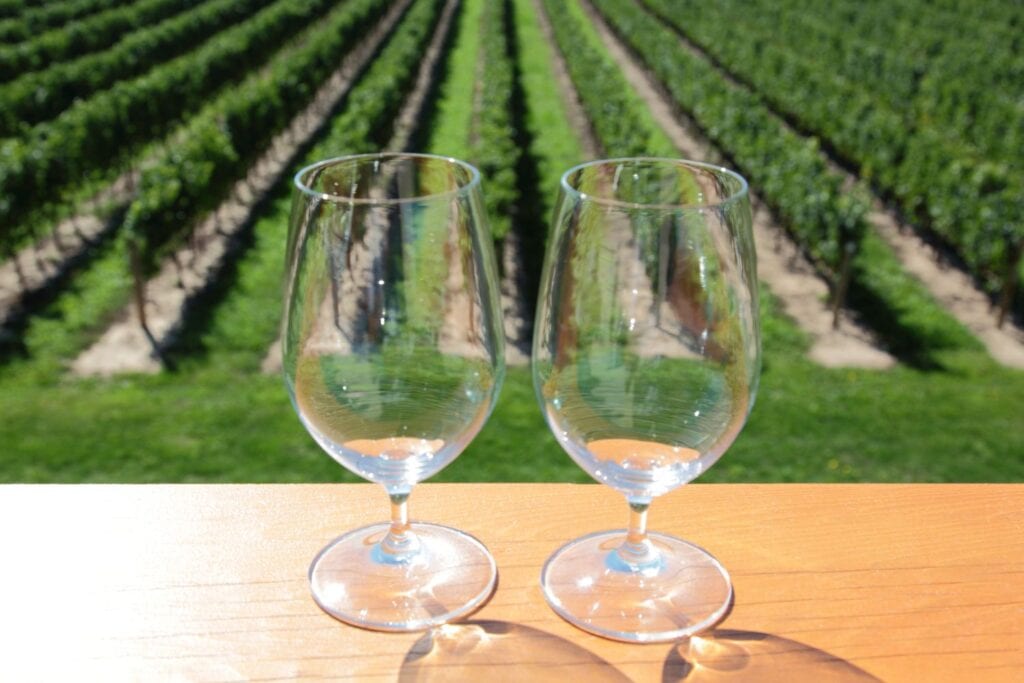 Two wine glasses on a table overlooking vineyard