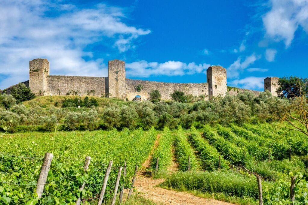 Walled city of Monteriggioni behind a vineyard