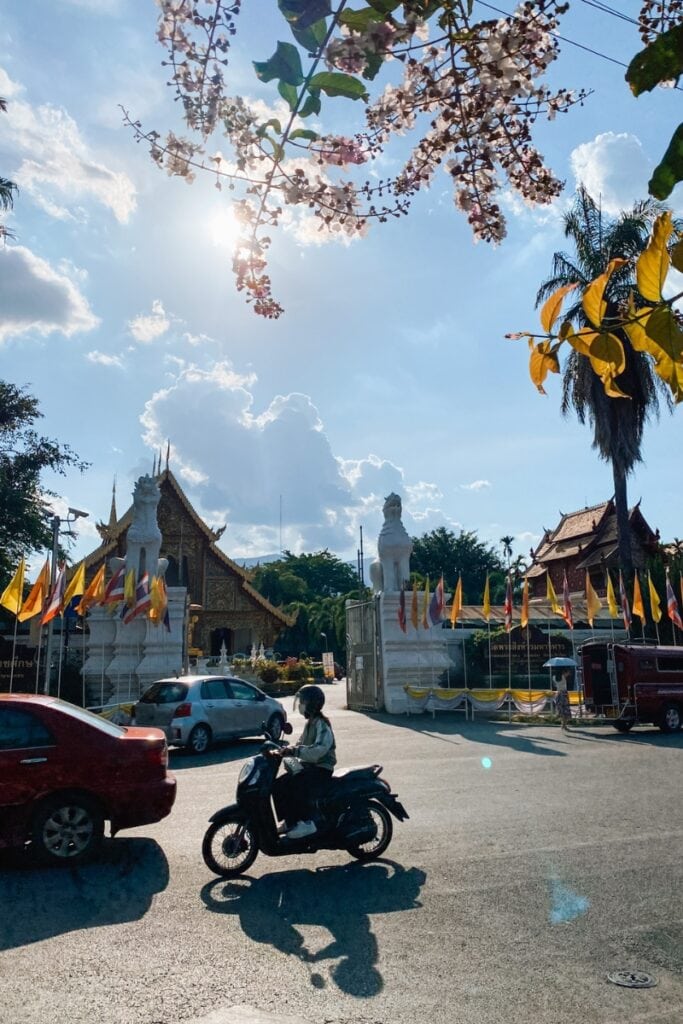 Chiang Mai riding a scooter
