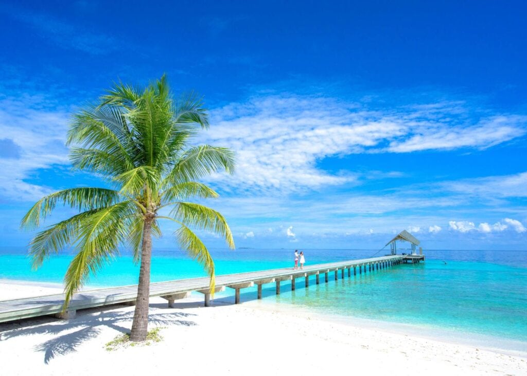 Couple on a boardwalk over the Pacific Ocean with palm tree