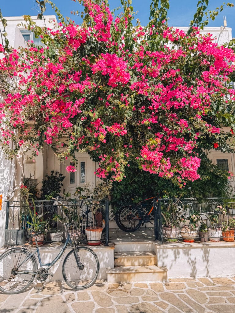 Bougainvillea blooming in Paros, Greece, with bicycles parked nearby.